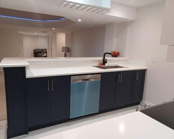 kitchen-renovation1